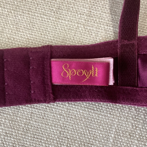 *NWOT* Spoylt Luxury Silk Pleated Ruffle Balconette Bra - 34D - Picture 4 of 8